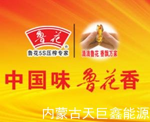 山东鲁花换热机组